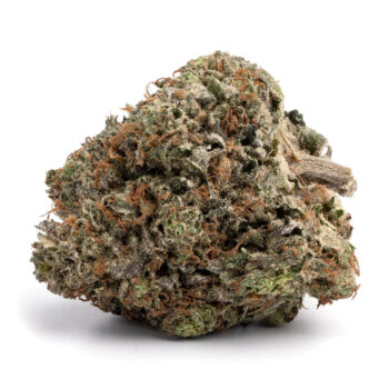 Bluefin Tuna | Indica | Cannabis | AAAA+