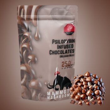 Psilocybin Chocolates 5g (250mg x 20)