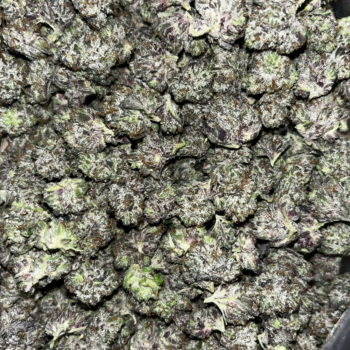 Mike Tyson | Smalls | Indica | Cannabis | AAAA+